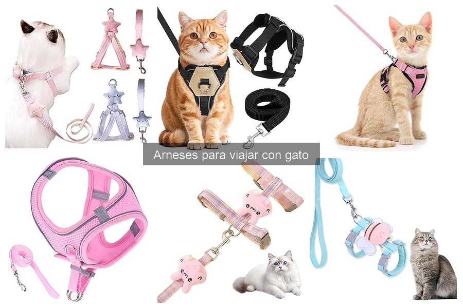 Comparativa: Arneses de gato con y sin cinturón de seguridad