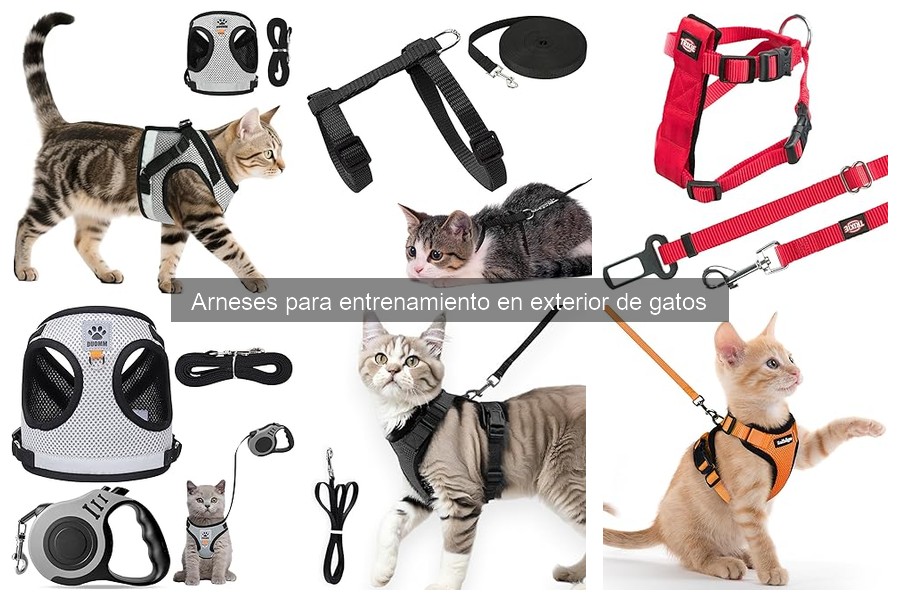 Comparativa: Arneses de Nylon vs. Algodón para Gatos