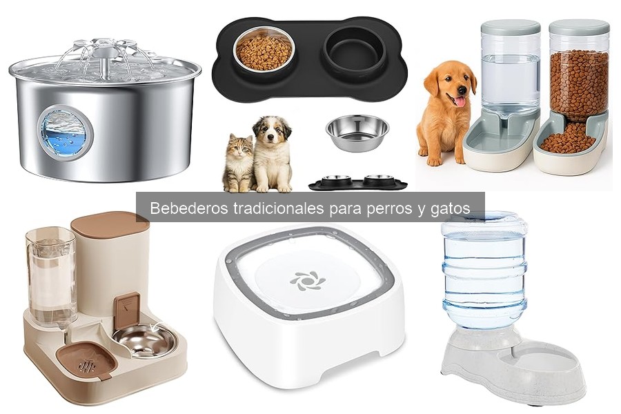 Comparativa: Bebederos Tradicionales vs Automáticos para Mascotas