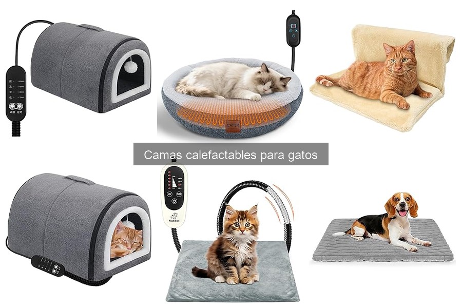 Comparativa: Camas Calefactables vs. Tradicionales para Gatos