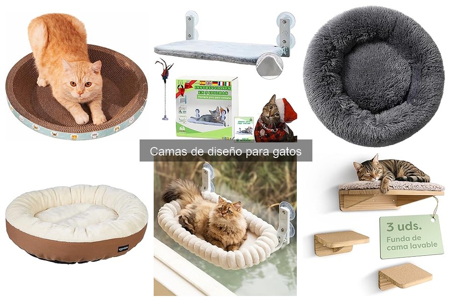 Comparativa: Camas de diseño vs. camas tradicionales para gatos