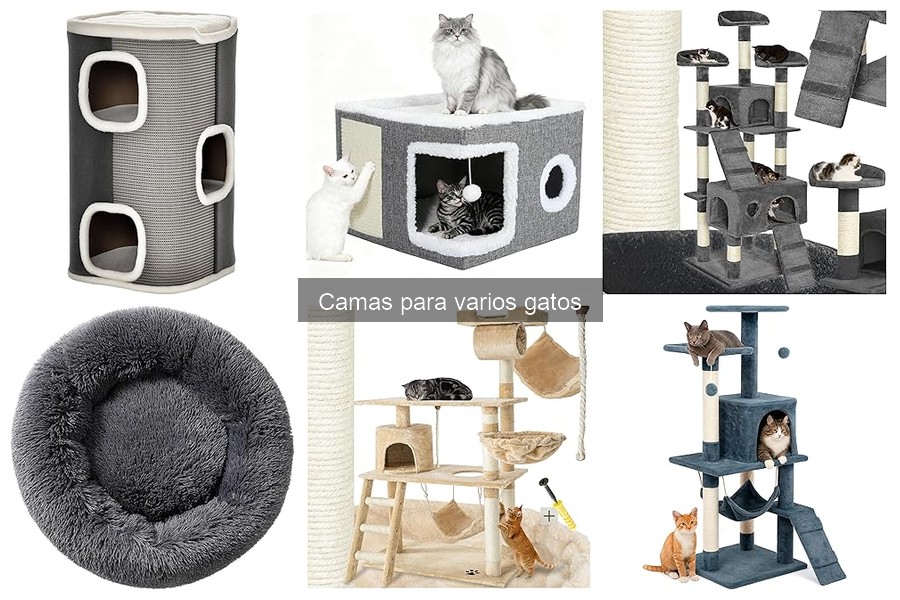 Comparativa: Camas de Espuma vs. Camas Ortopédicas para Gatos