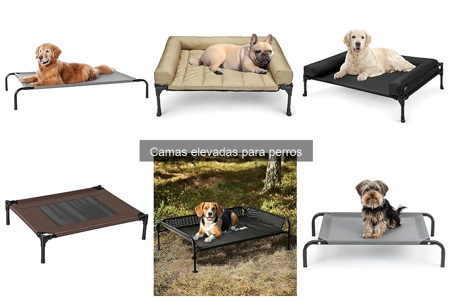Comparativa: Camas Elevadas vs Tradicionales para Perros