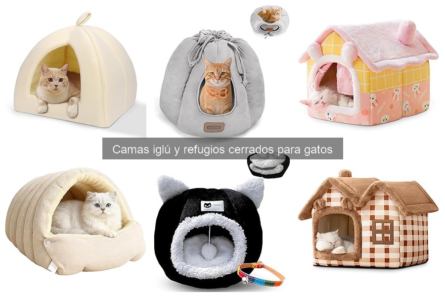 Comparativa: Camas Iglú vs. Camas Tradicionales para Gatos