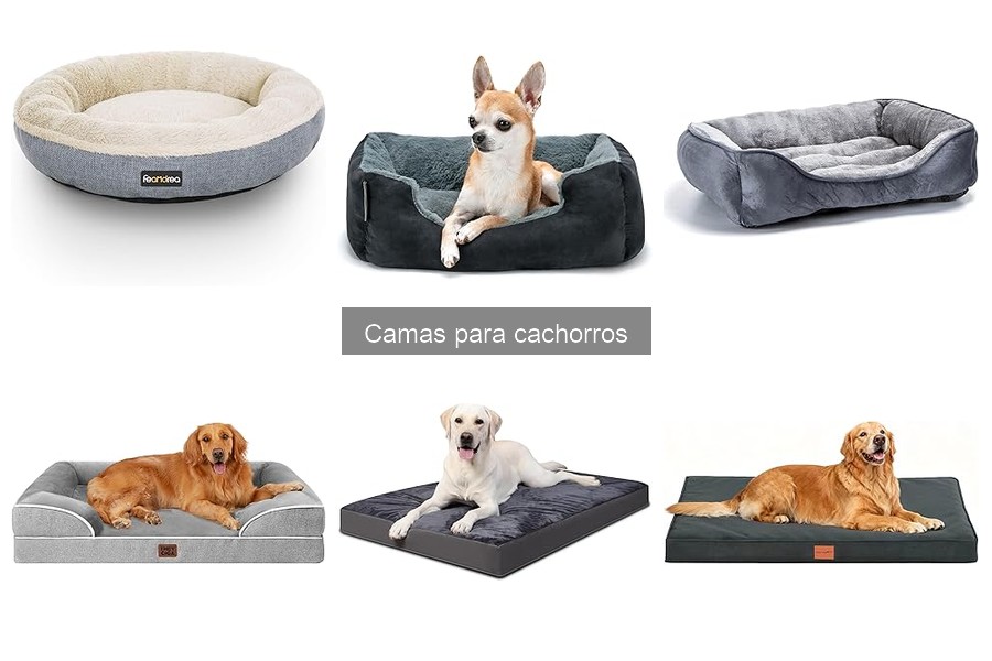 Comparativa: Camas para Cachorros y Perros Adultos