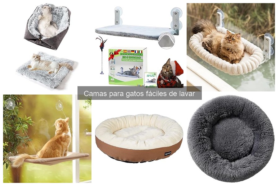 Comparativa: ¿Camas para gatos o perros? Mejores opciones