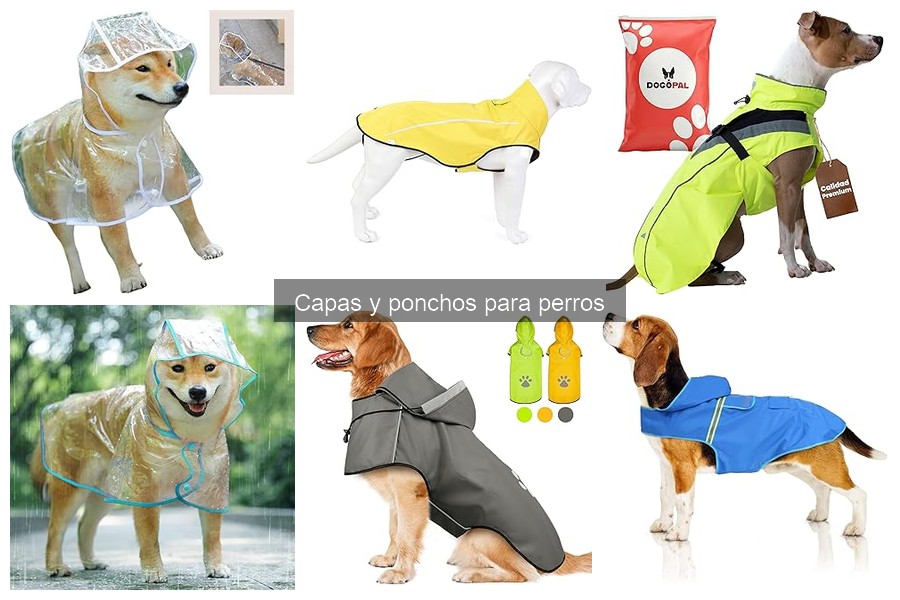 Comparativa: Capas vs Ponchos para Perros, ¿Cuál Elegir?