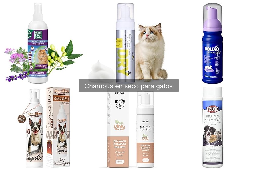 Comparativa Champús en Seco vs Tradicionales para Gatos