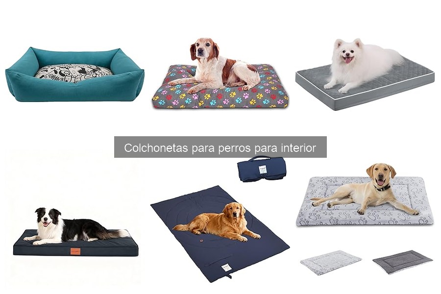 Comparativa: Colchonetas ortopédicas vs. tradicionales para perros