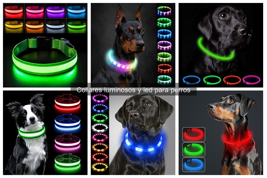 Comparativa: Collar Luminoso vs Collar Reflectivo para Perros