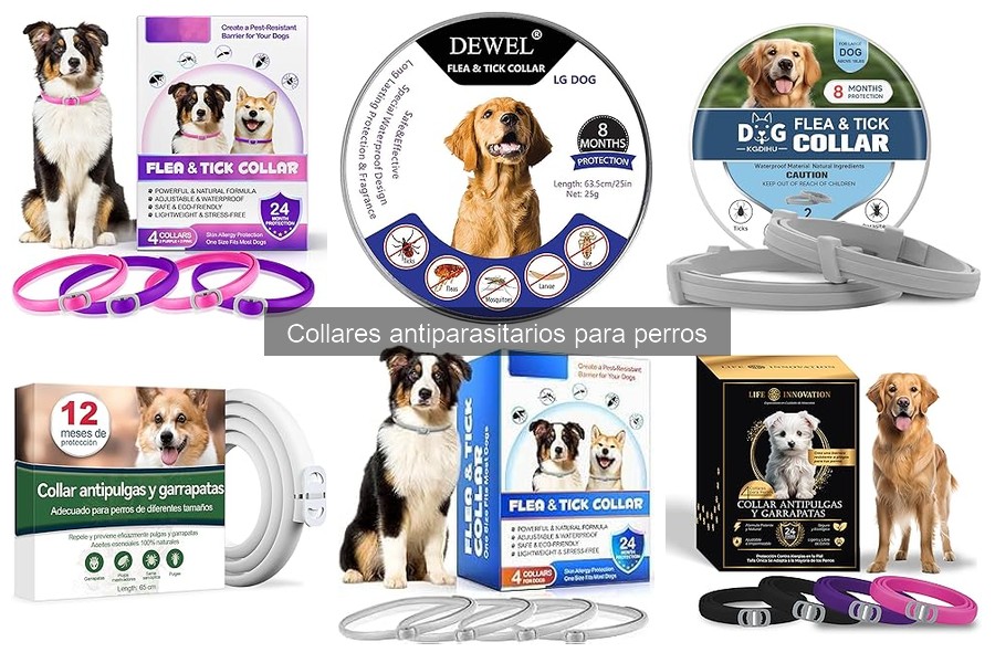 Comparativa: Collares Antiparasitarios vs Otros Métodos de Protección
