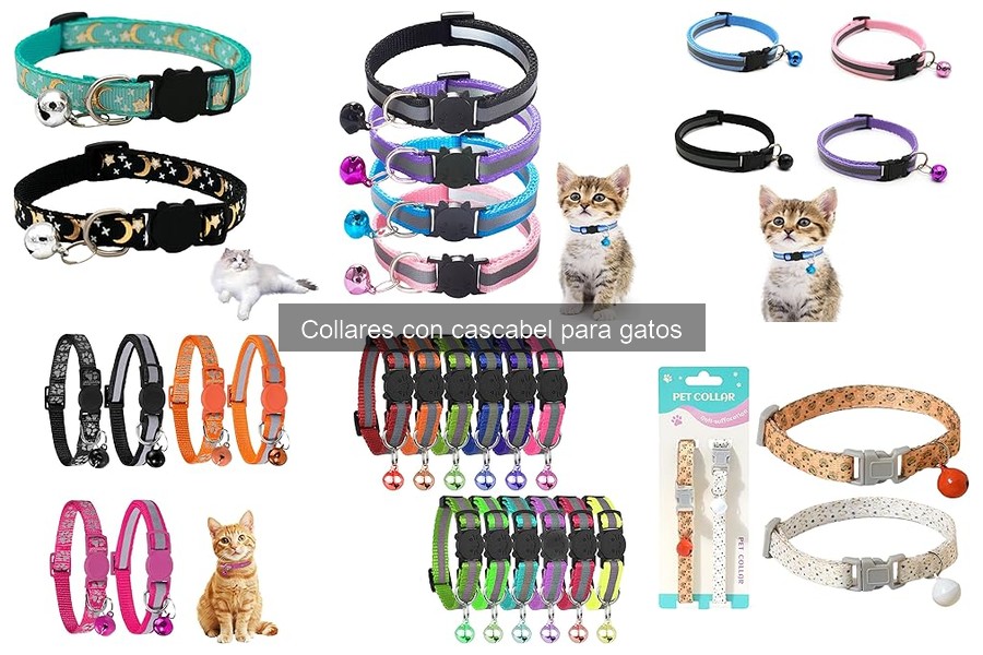 Comparativa: Collares con y sin cascabel para gatos