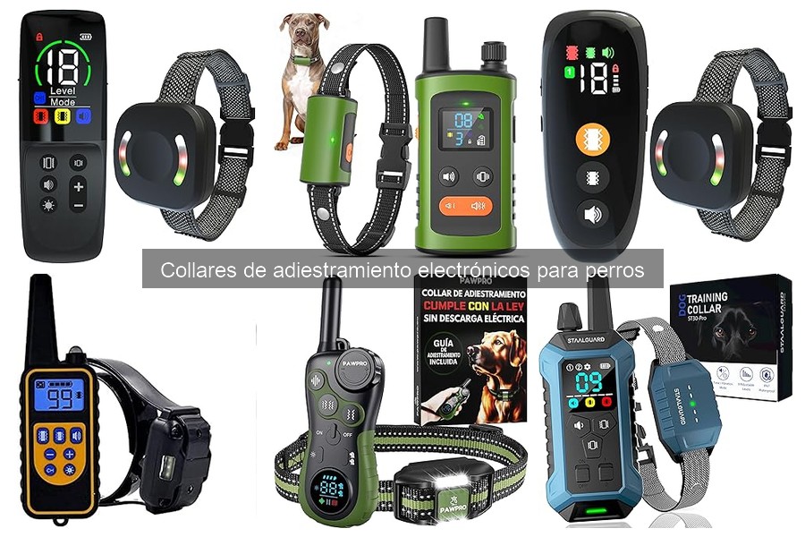 Comparativa: Collares de Adiestramiento Electrónicos vs. Citronela