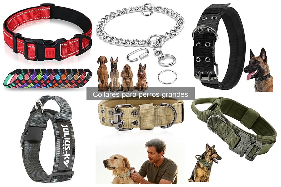 Comparativa: Collares de cuero vs. nylon para perros grandes