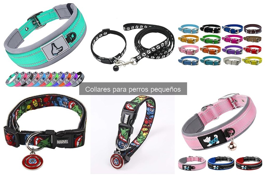 Comparativa: Collares de cuero vs. nylon para perros pequeños