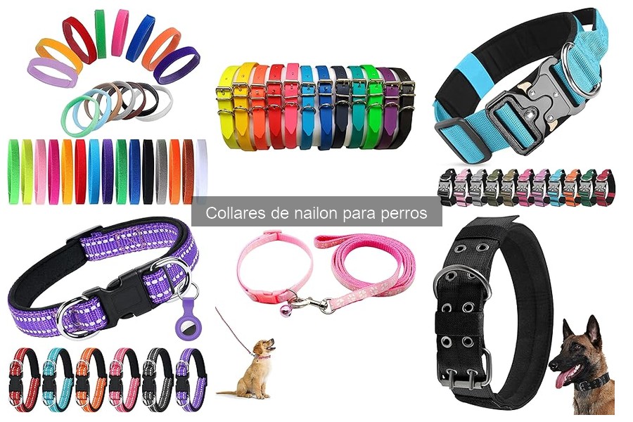 Comparativa: Collares de Nailon vs. Collares de Cuero para Perros