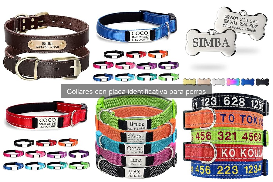 Comparativa: Collares Identificativos vs Microchips para Perros