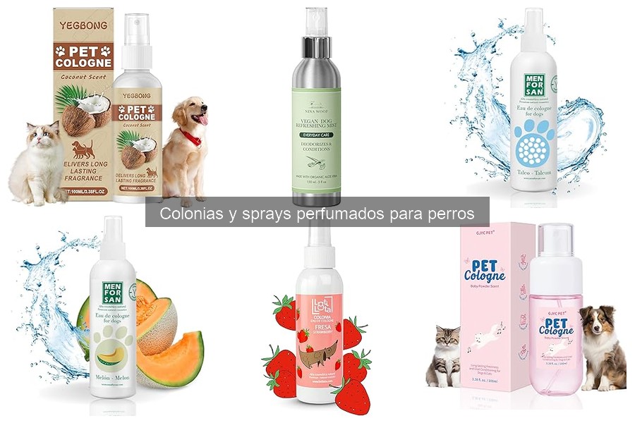 Comparativa: Colonias vs Sprays para Perros - ¿Cuál Elegir?