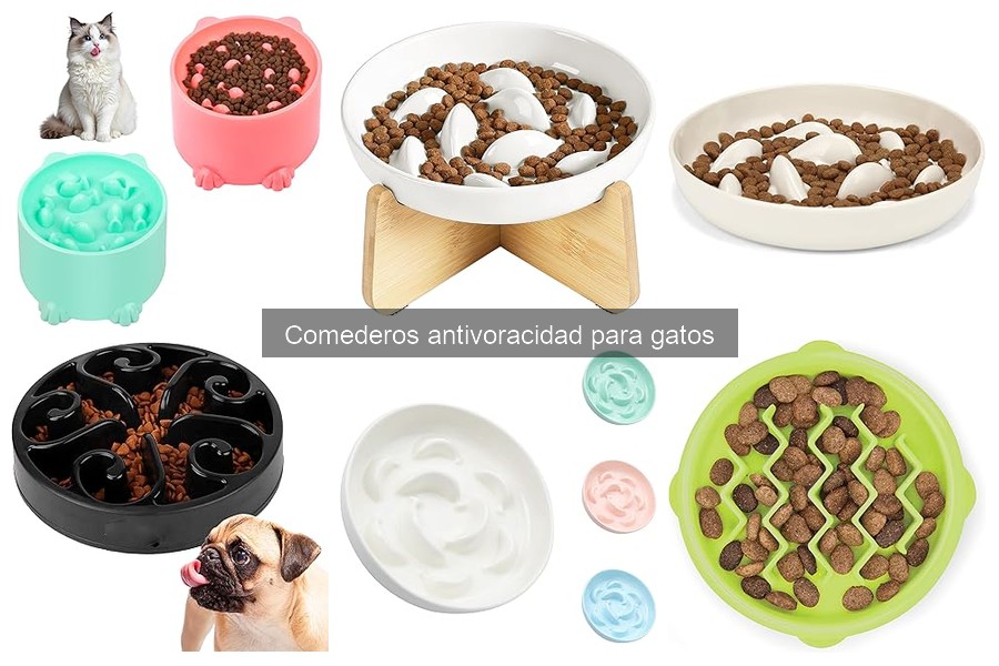 Comparativa: Comederos Antivoracidad vs Comederos Tradicionales