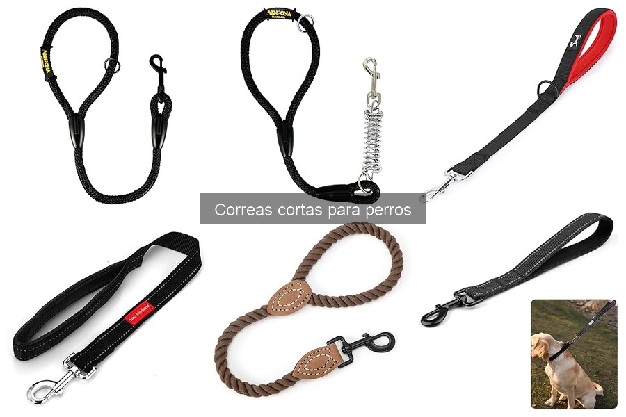 Comparativa: Correas Cortas vs Largas para Perros