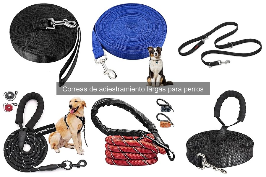Comparativa: Correas de Adiestramiento Largas vs. Estándar