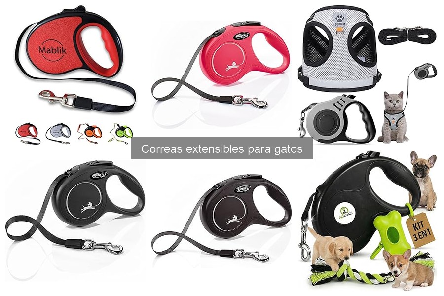 Comparativa: Correas Extensibles vs Fijas para Gatos