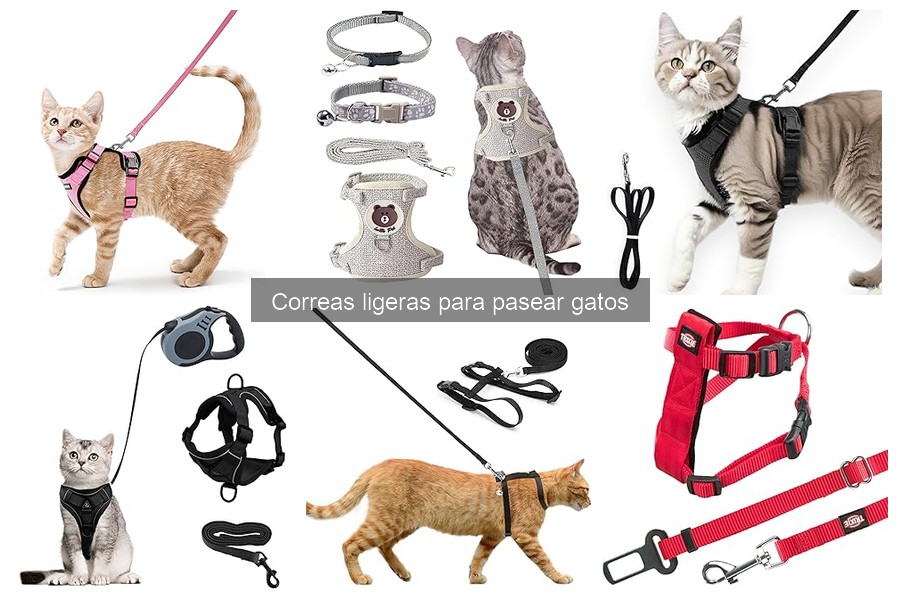 Comparativa: Correas ligeras vs Arneses para gatos