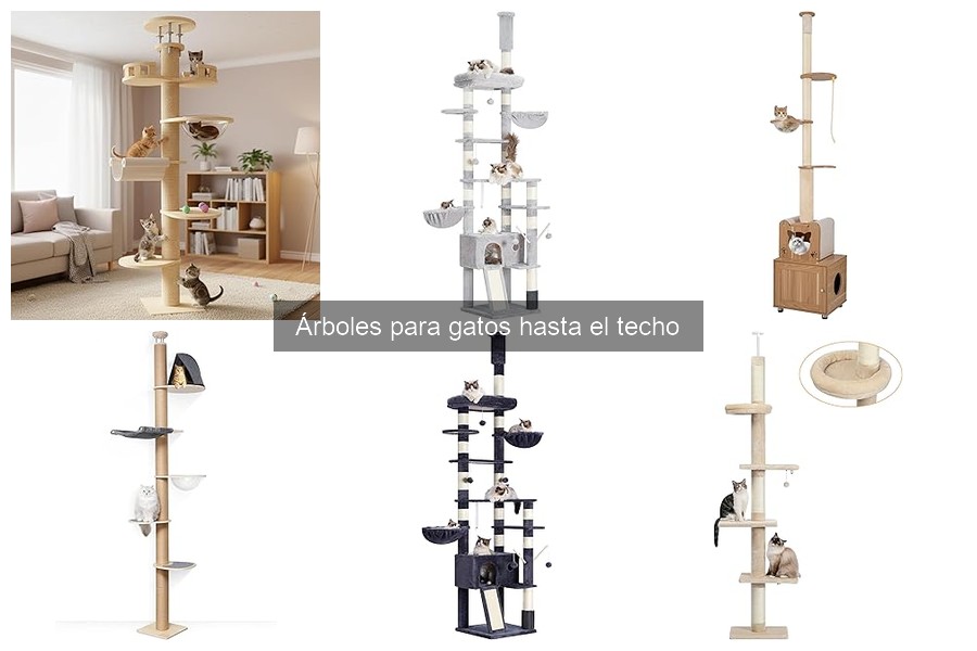 Comparativa de Árboles para Gatos hasta el Techo