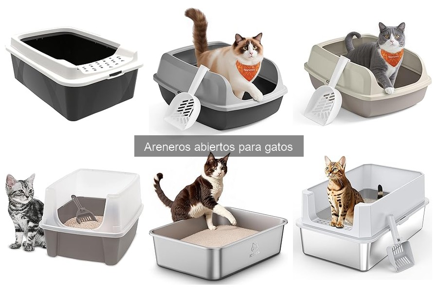 Comparativa de areneros abiertos y cerrados para gatos