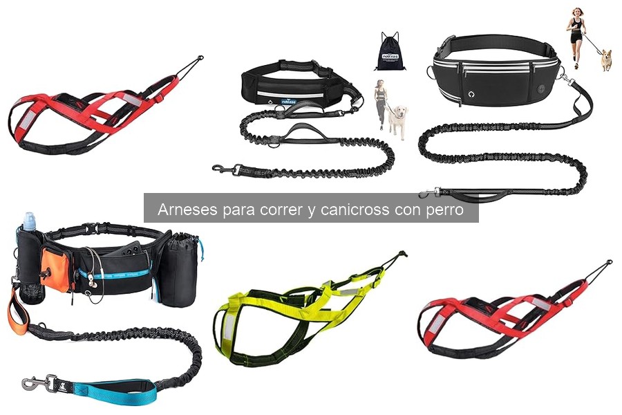 Comparativa de arneses para canicross: guía 2023