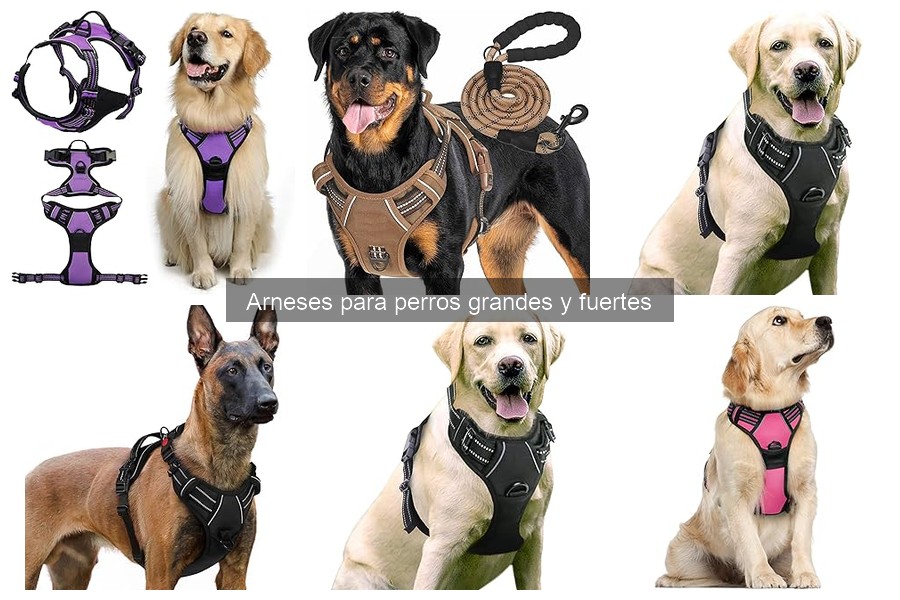 Comparativa de Arneses para Perros Grandes y Fuertes