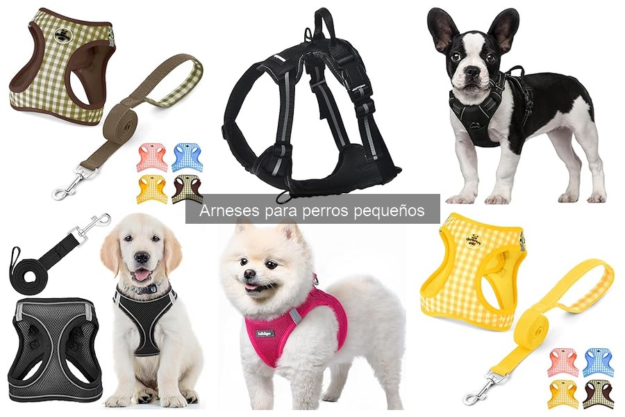 Comparativa de arneses para perros pequeños: ¿Cuál elegir?
