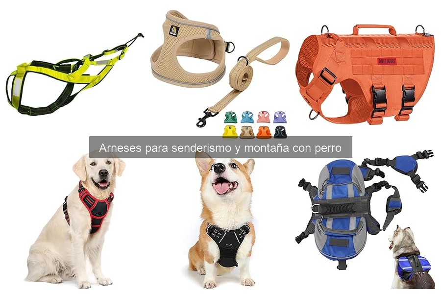 Comparativa de arneses para senderismo: Calidad y Precio