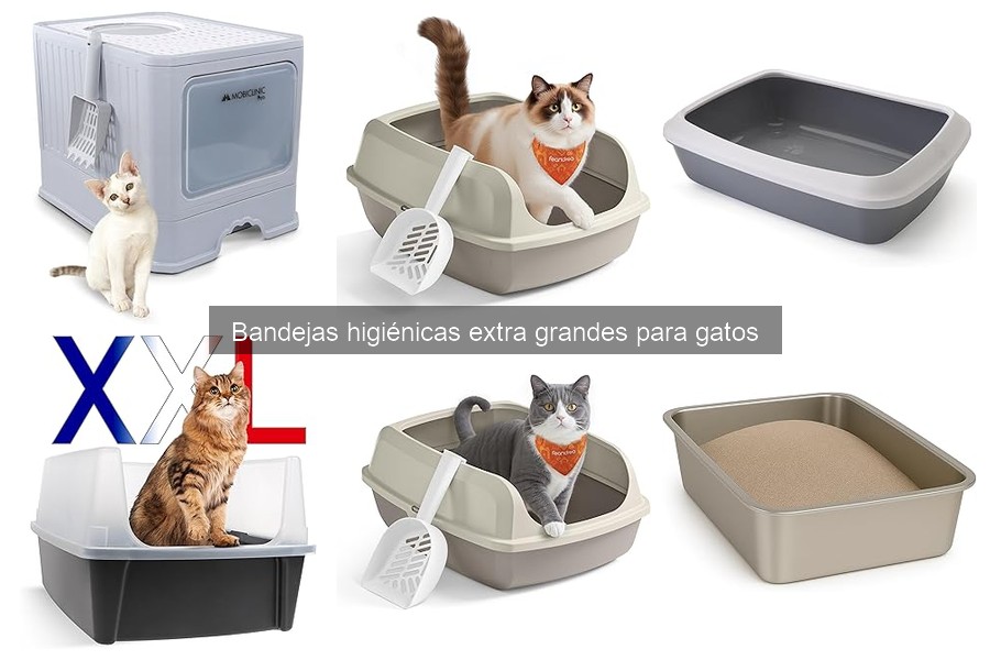Comparativa de bandejas higiénicas extra grandes para gatos