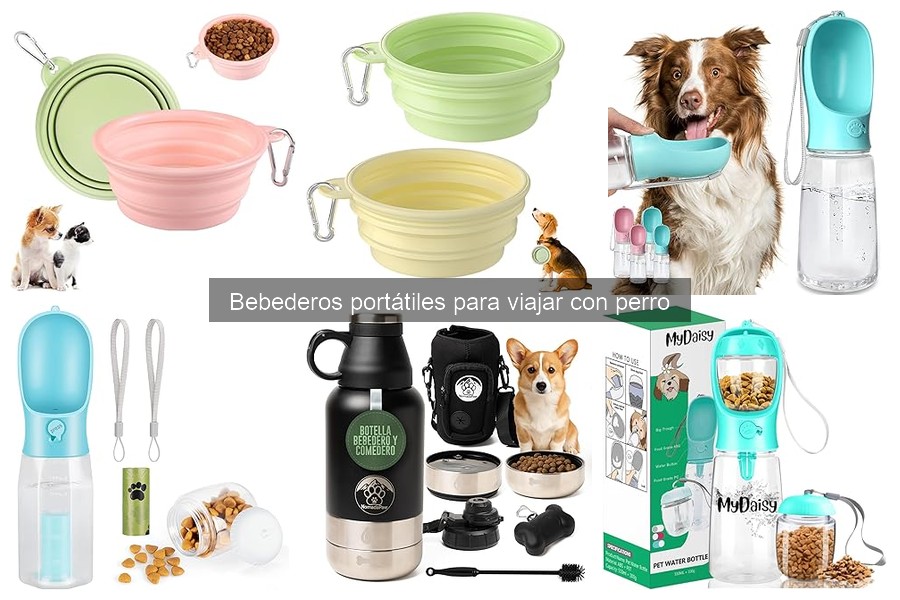 Comparativa de bebederos portátiles para perros: diseño y uso
