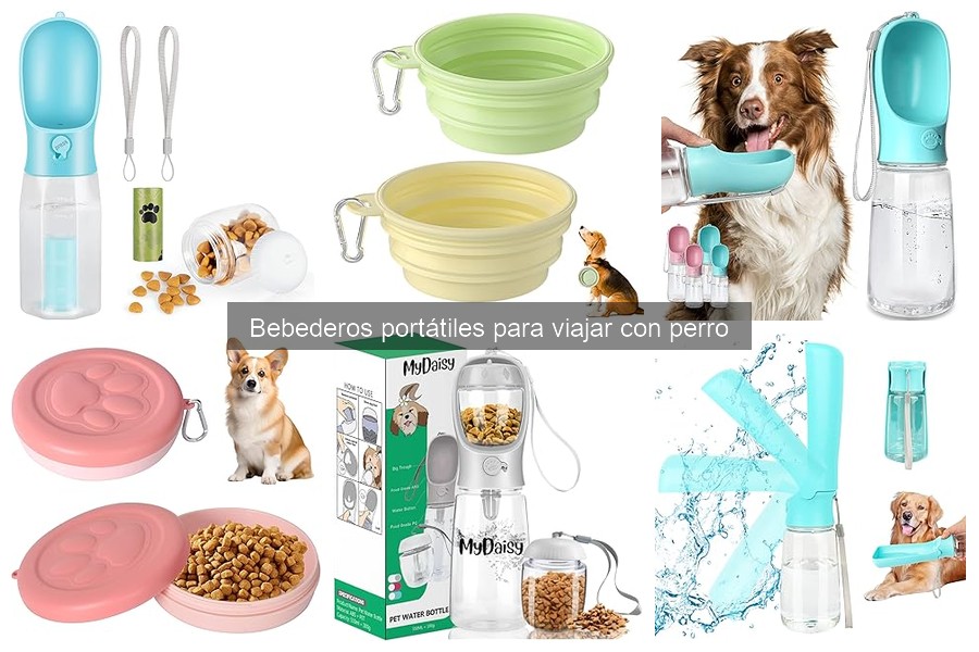 Comparativa de bebederos portátiles para perros: marcas y diferencias
