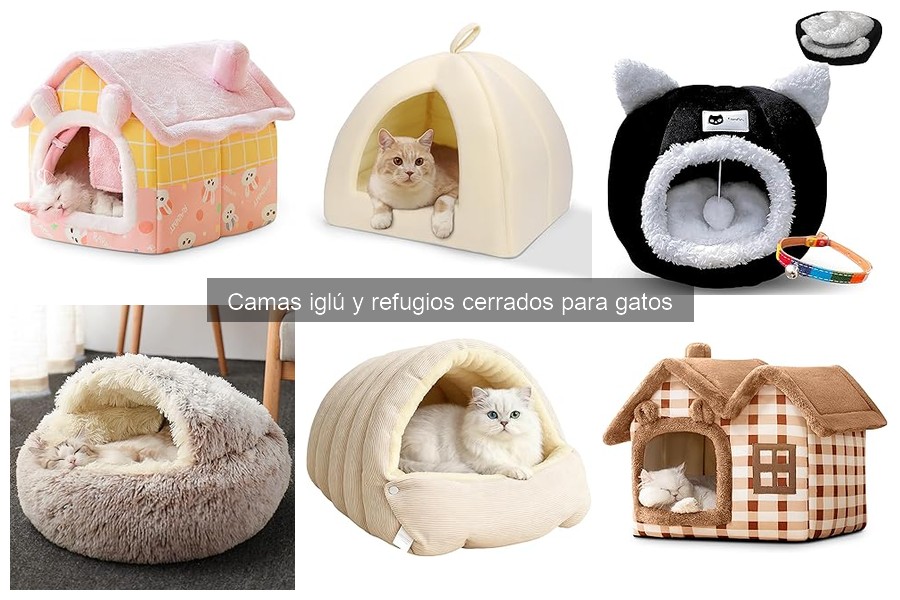 Comparativa de camas iglú vs. camas de lujo para gatos