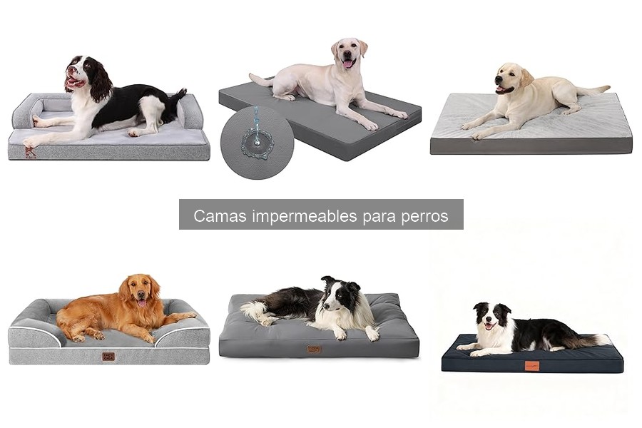 Comparativa de camas impermeables para perros: Mejores marcas