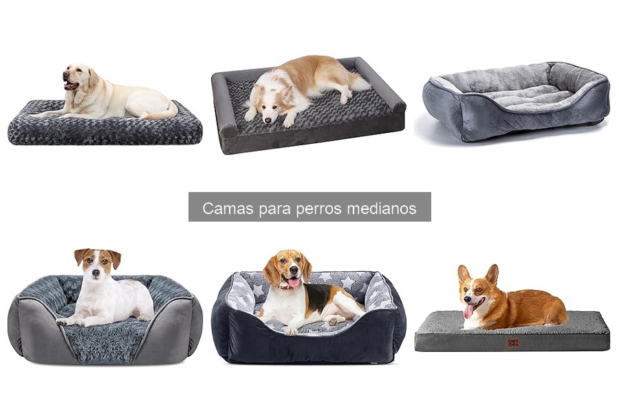 Comparativa de camas ortopédicas para perros medianos