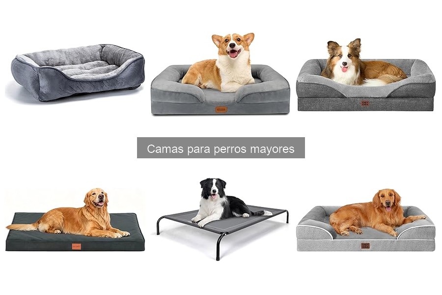 Comparativa de camas ortopédicas vs. estándar para perros mayores