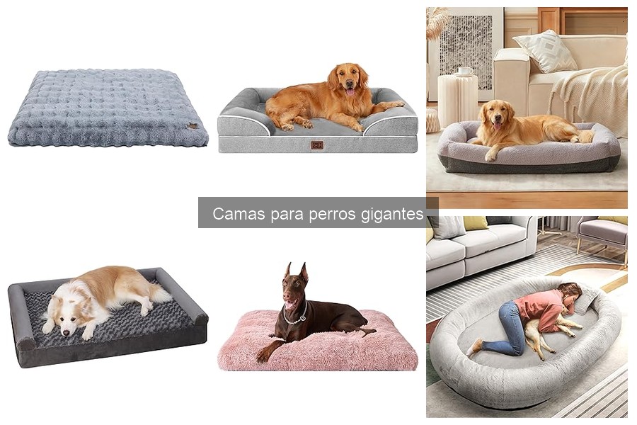 Comparativa de camas para perros gigantes de varias marcas
