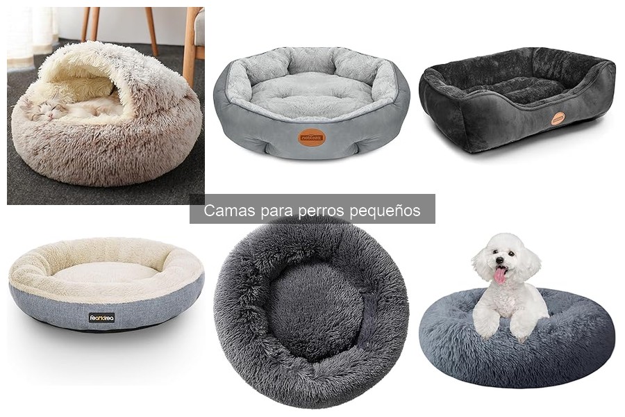 Comparativa de camas para perros pequeños: materiales y confort