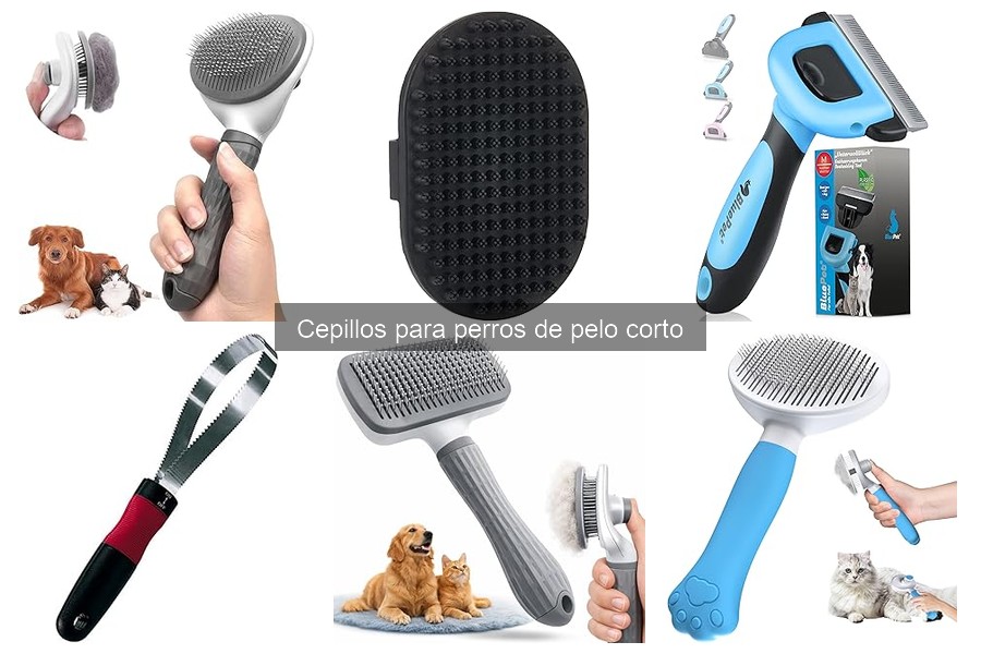 Comparativa de cepillos para perros de pelo corto: marcas y modelos