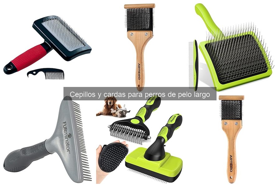 Comparativa de Cepillos y Cardas para Perros de Pelo Largo