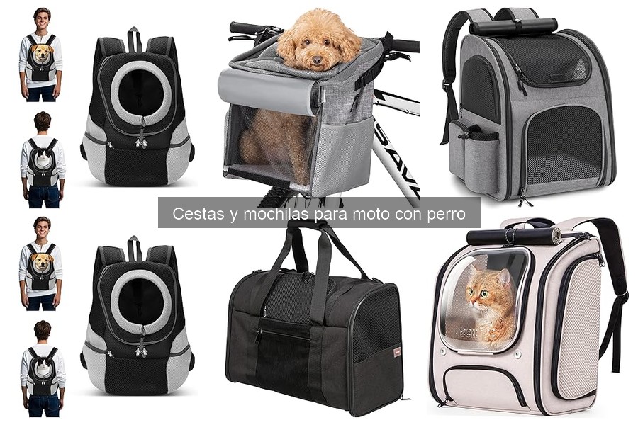Comparativa de Cestas y Mochilas para Moto con Perro