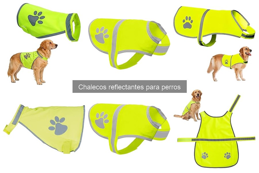 Comparativa de Chalecos Reflectantes para Perros: Mejores Marcas