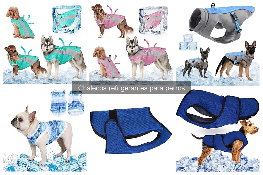 Comparativa de Chalecos Refrigerantes para Perros: Mejores Marcas