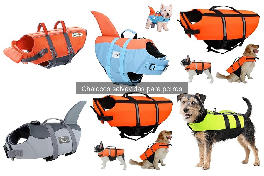 Comparativa de chalecos salvavidas para perros: mejores opciones