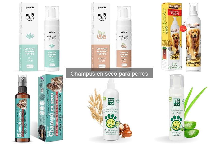 Comparativa de Champús en Seco para Perros: Mejores Opciones 2023