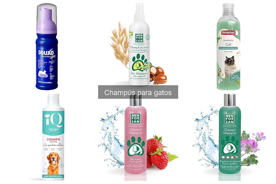 Comparativa de Champús Hipoalergénicos para Gatos